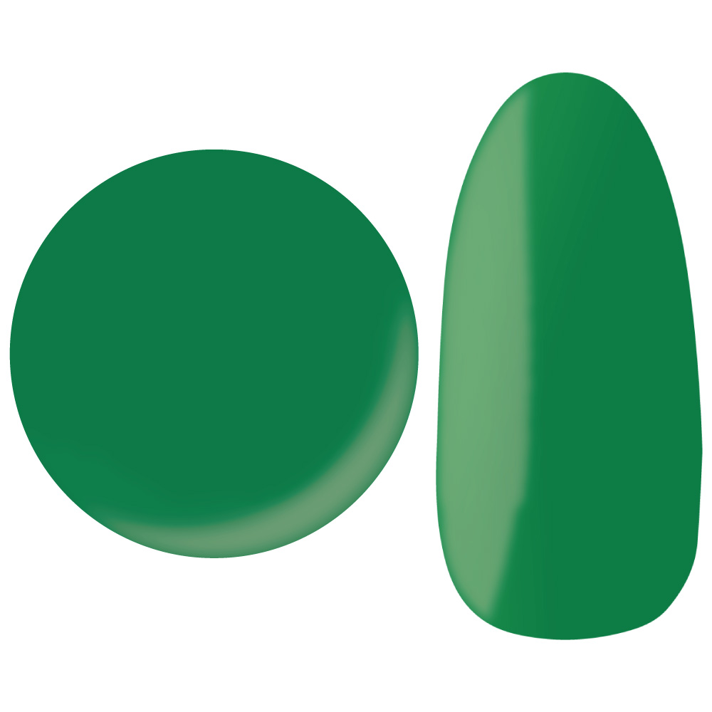 25GEL カラージェル 4g 213M/+1