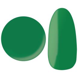 25GEL カラージェル 4g 213M/+1