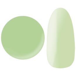 25GEL カラージェル 4g 214M/+1