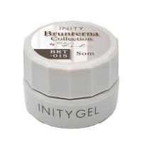 アイニティ ハイエンドカラー 3g BRT-01S ソム