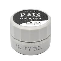 アイニティ ハイエンドカラー 3g PT-01G クロゴマ