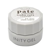 アイニティ ハイエンドカラー 3g PT-05G ホワイトソース