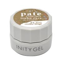 アイニティ ハイエンドカラー 3g PT-07G クッキーベージュ