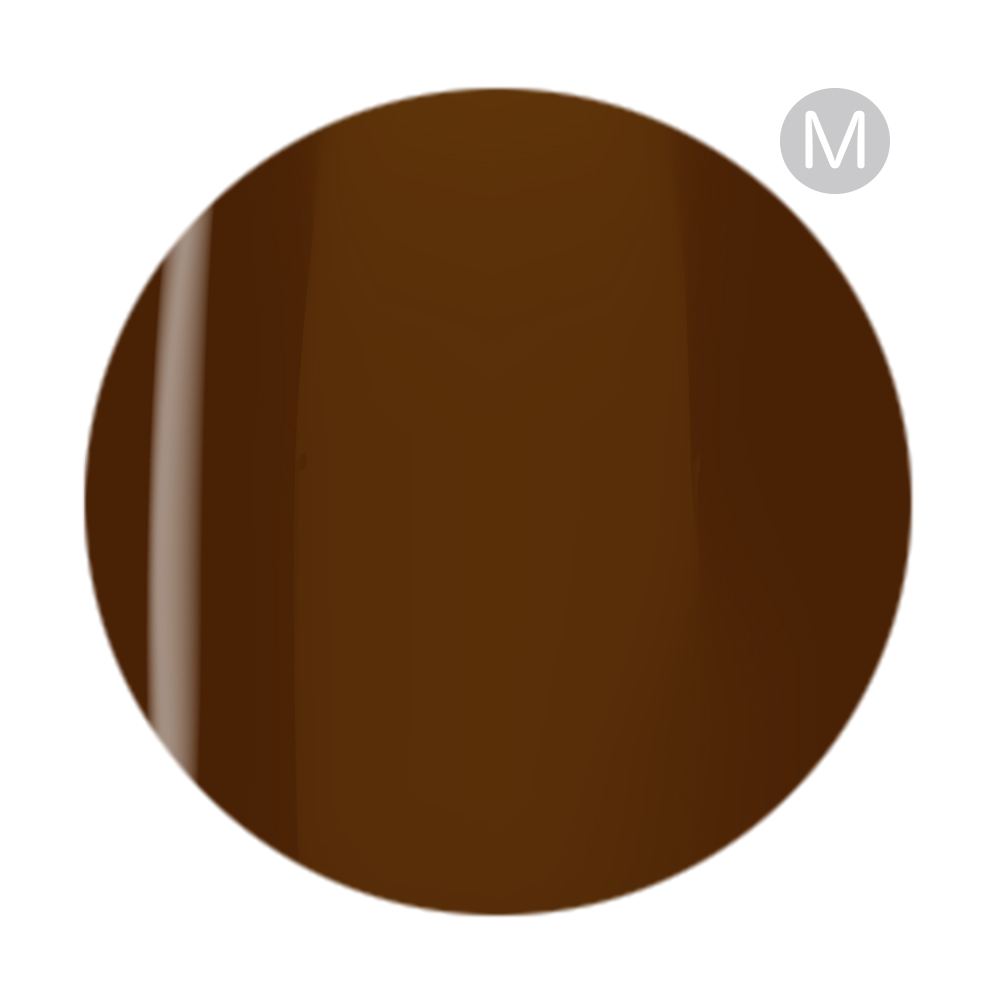 アイニティ ハイエンドカラー 3g JT-09M タイガーアイ