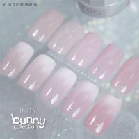 アイニティ ハイエンドカラー バニーコレクション INS-BN 3g×5色