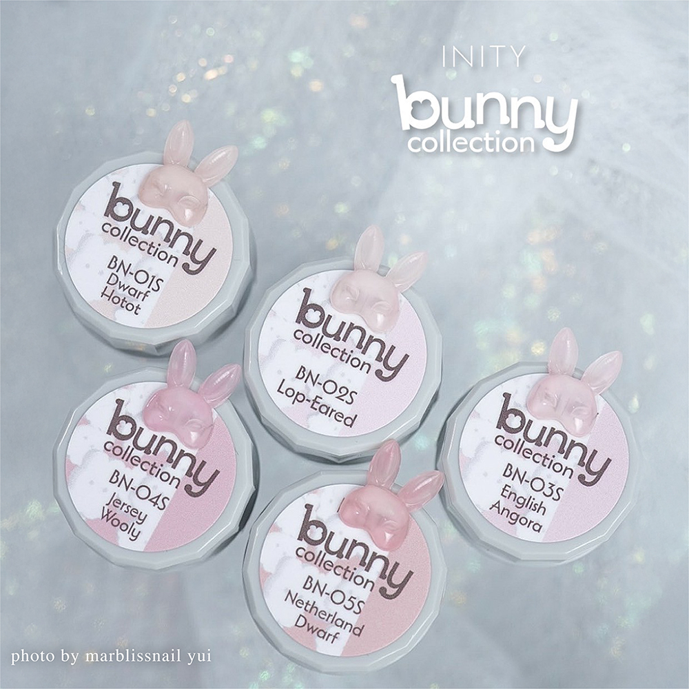 アイニティ ハイエンドカラー バニーコレクション INS-BN 3g×5色