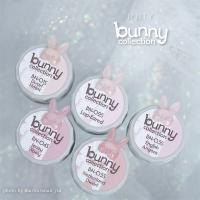 アイニティ ハイエンドカラー バニーコレクション INS-BN 3g×5色