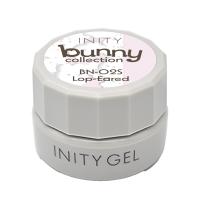 アイニティ ハイエンドカラー 3g BN-02S ロップイヤー