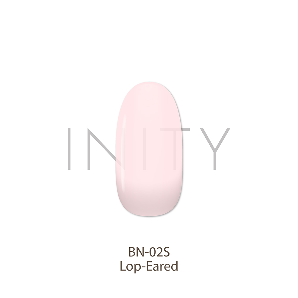 アイニティ ハイエンドカラー 3g BN-02S ロップイヤー