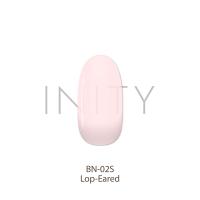 アイニティ ハイエンドカラー 3g BN-02S ロップイヤー