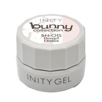 アイニティ ハイエンドカラー 3g BN-01S ドワーフホト