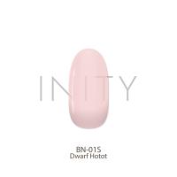 アイニティ ハイエンドカラー 3g BN-01S ドワーフホト