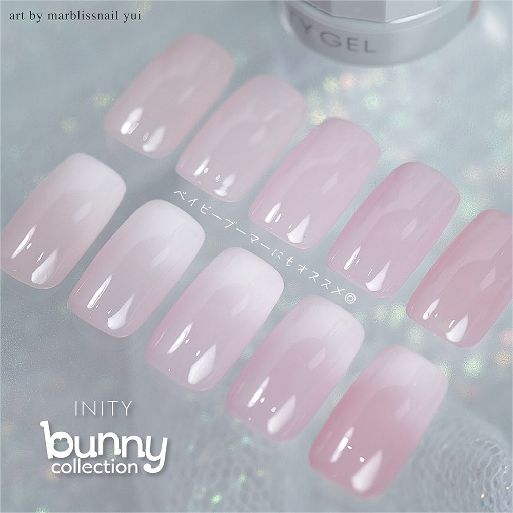 アイニティ ハイエンドカラー 3g BN-01S ドワーフホト