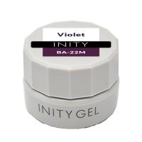 アイニティ ハイエンドカラー 3g BA-22M バイオレット