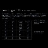 para gel チップ