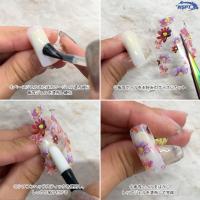 ●WSPT JAPAN トルタ 転写ホイル HO4001