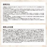 TOY's×INITY ハンディライトプロ T-HNDLP