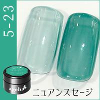 ageha オプティカラー 2.7g 5-23 ニュアンスセージ