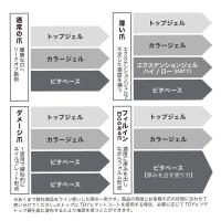 TOY's×INITY ハイブリットピタベース 1kg(100g×10本入) T-HPBC-1000