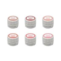 アイニティ ハイエンドカラー スキンコレクション INS-SK 3g×6色