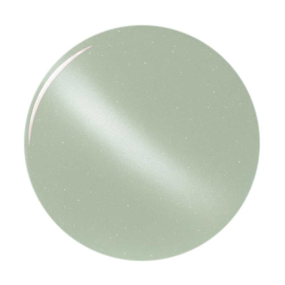 ベラフォーマ カラージェル 3ml FC039B セージリーフ