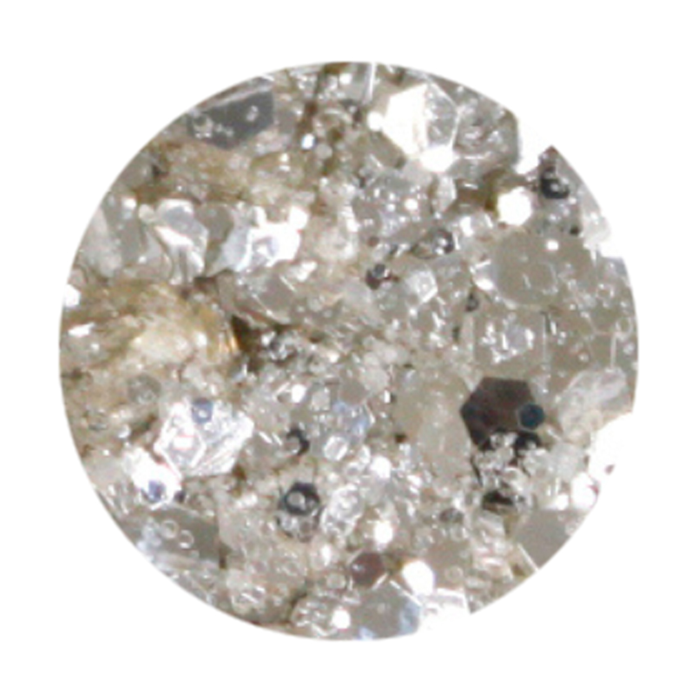 ●フルーリア ホログリッター 2g 01 シルバー