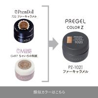 PREGEL カラーZ 3g PZ-102I ファーキャラメル