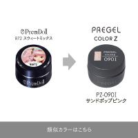 PREGEL カラーZ 3g PZ-090I サンドポップピンク