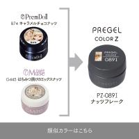 PREGEL カラーZ 3g PZ-089I ナッツフレーク