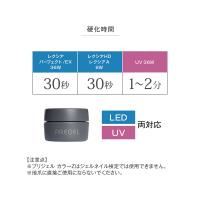 PREGEL カラーZ 3g PZ-074G シャイニーベージュ