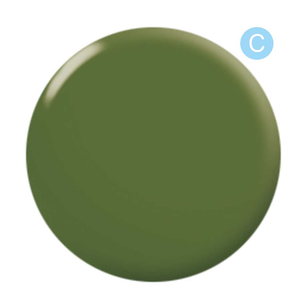 ルクジェル カラージェル 3.5g C021 クリアリーフグリーン