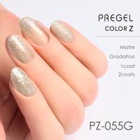 PREGEL カラーZ 3g PZ-055G シャイニープリズムシルバー