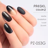 PREGEL カラーZ 3g PZ-053G ギャラクシーダストグリッター