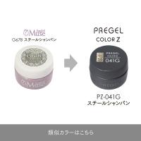PREGEL カラーZ 3g PZ-041G スチールシャンパン