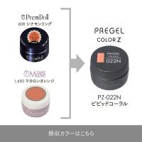 PREGEL カラーZ 3g PZ-022N ビビッドコーラル
