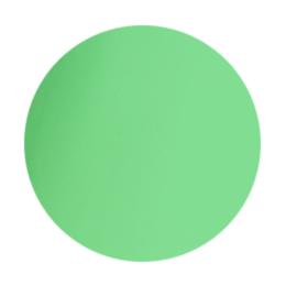 PREGEL カラーZ 3g PZ-021N ビビッドマスカット