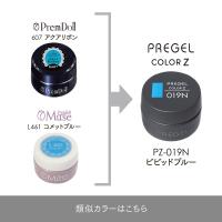 PREGEL カラーZ 3g PZ-019N ビビッドブルー