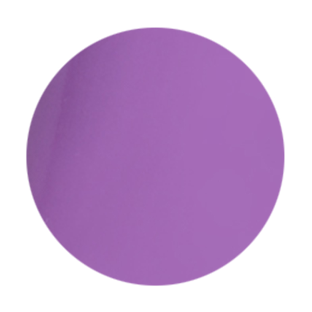 PREGEL カラーZ 3g PZ-017N ビビッドパープル