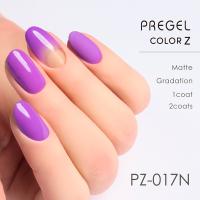 PREGEL カラーZ 3g PZ-017N ビビッドパープル