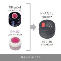 PREGEL カラーZ 3g PZ-013N ネオンピンク