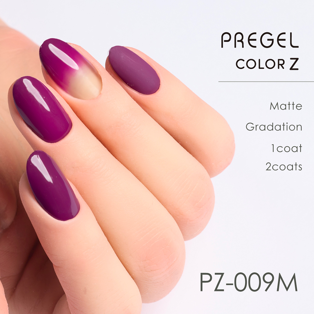 PREGEL カラーZ 3g PZ-009M ダークノーブル