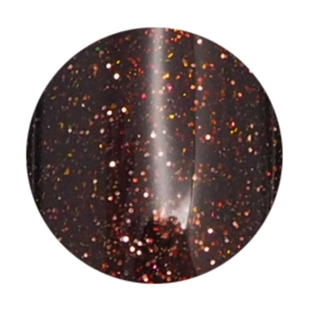 ●Dna Gel フラッシュジェル 8g FG09 チョコ