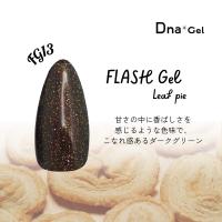 ●Dna Gel フラッシュジェル 8g FG13 リーフパイ