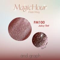 アンドグラフ カラージェル 3g FM100 ジューシーティント