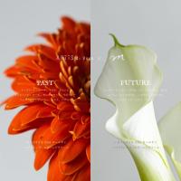 ARTIS di Voce ×.m ハイドレーティングハンドクリーム FUTURE