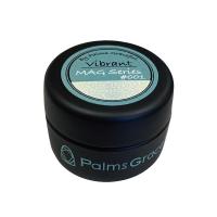 ■vibrant by Palms Graceful カラージェル 3g MAG #001
