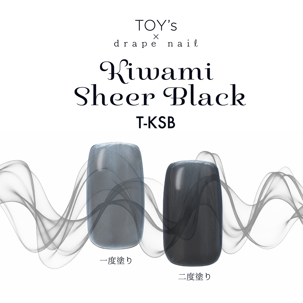 TOY's×INITY 極みシアーブラック 5g T-KSB