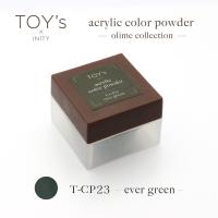 TOY's×INITY アクリルカラーパウダー 7g CP23 エバーグリーン