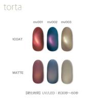 WSPT JAPAN トルタ ミッドナイトヴェール 3g mv001