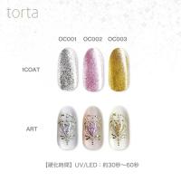 WSPT JAPAN トルタ オーナメントコフレ 3g OC001